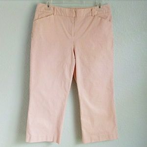 ANN TAYLOR | Pin Stripe Cotton Capri Sz. 8